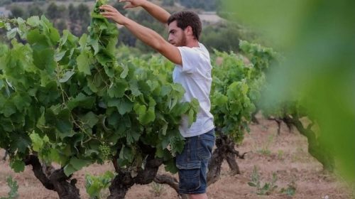 Cal Xurriu Agustí Costa