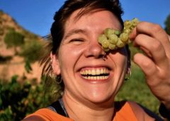 AriSevello-Vins Desantesos