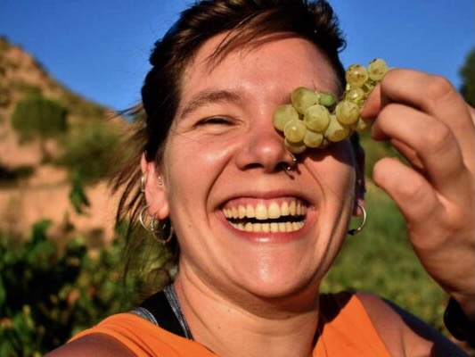 AriSevello-Vins Desantesos