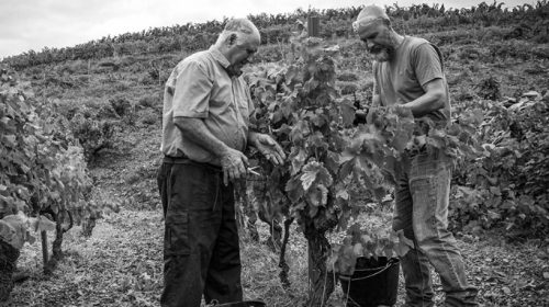 Cal Batllet- Ripoll Sans