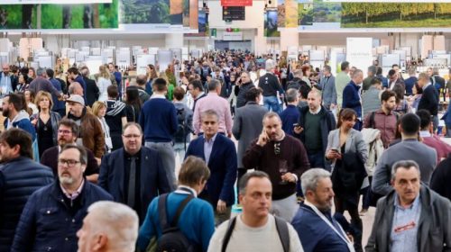 BarcelonaWineWeek-2026