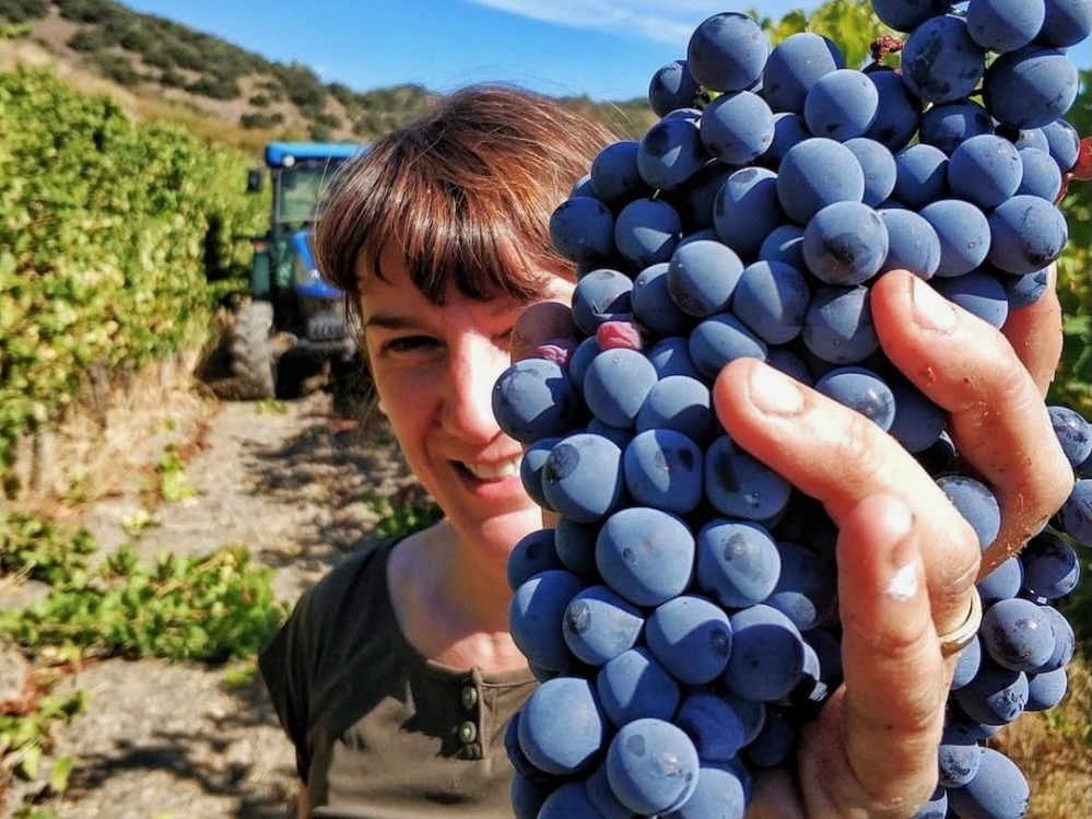 Eva Vega Aixalà la vinya