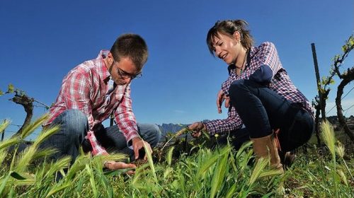castell d'Age Penedès